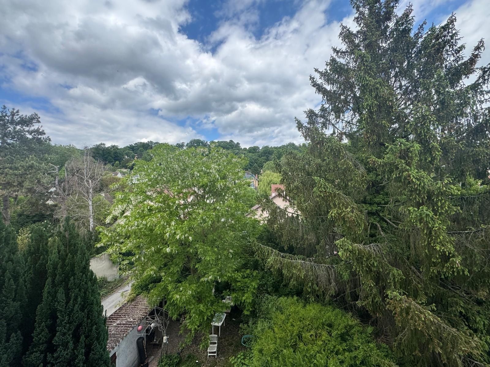 appartement 2 Pièces en location sur JOUY EN JOSAS (78350)