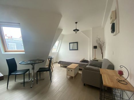 Location Appartement Paris 7 1&nbsp;pièce 18.63&nbsp;m²